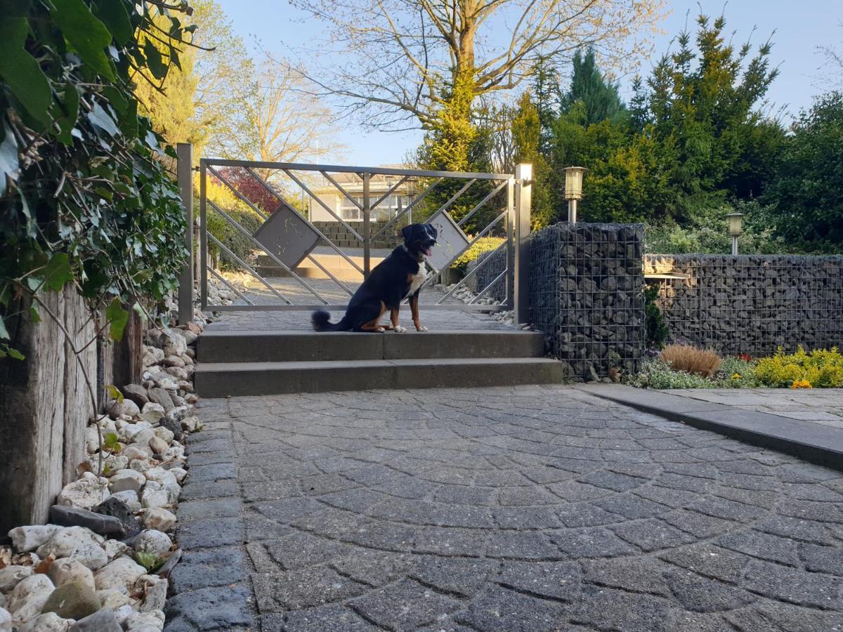 Fewo-Elzerhof Mendig Exterior foto